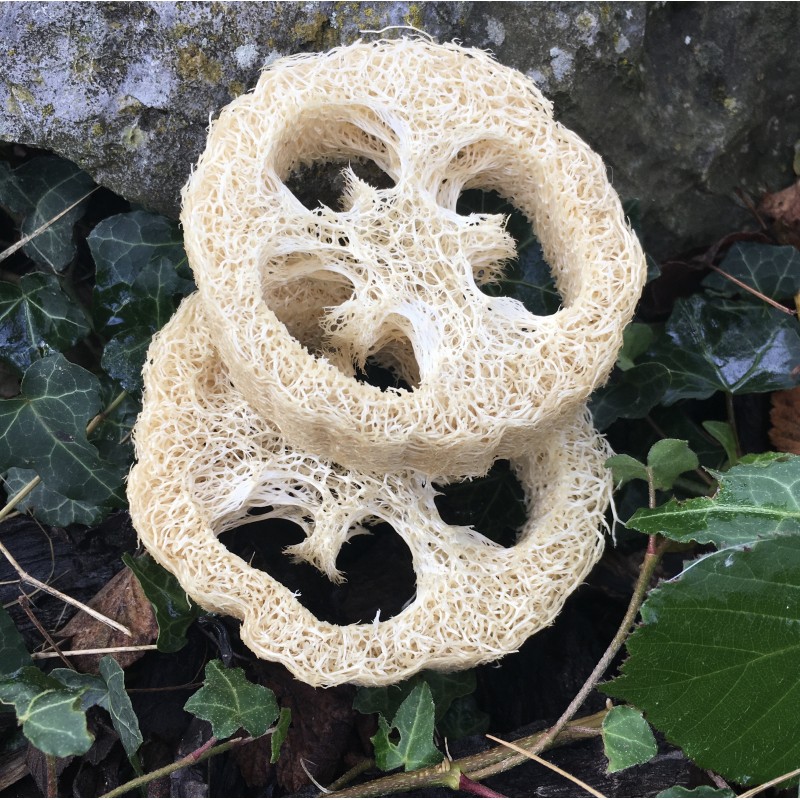 tranche loofah2 tranche loofah2